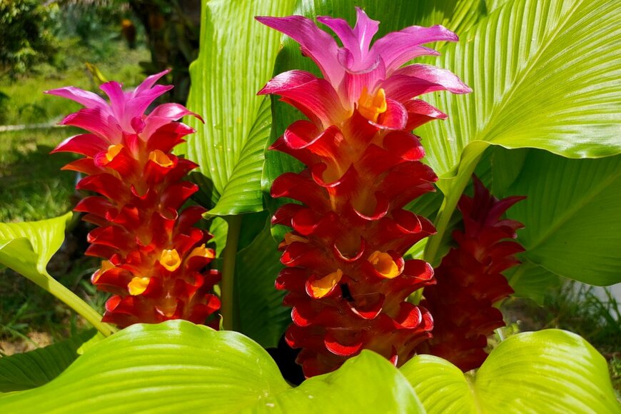 starbarts/shutterstock.com