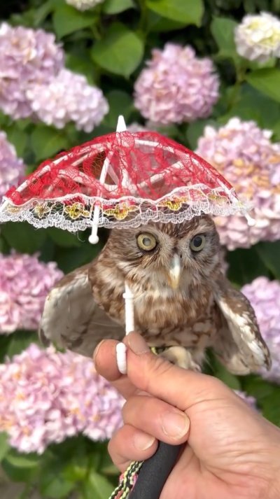 出所：@cr8673.hiro