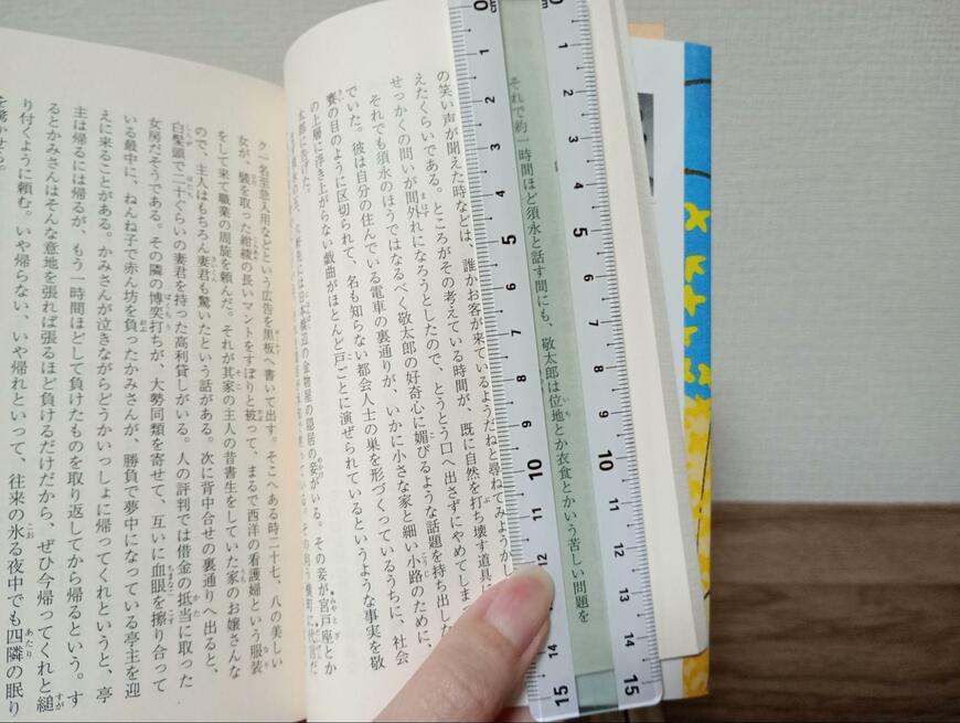 筆者撮影（キャンドゥ、左右対応定規 リーディングトラッカー付）