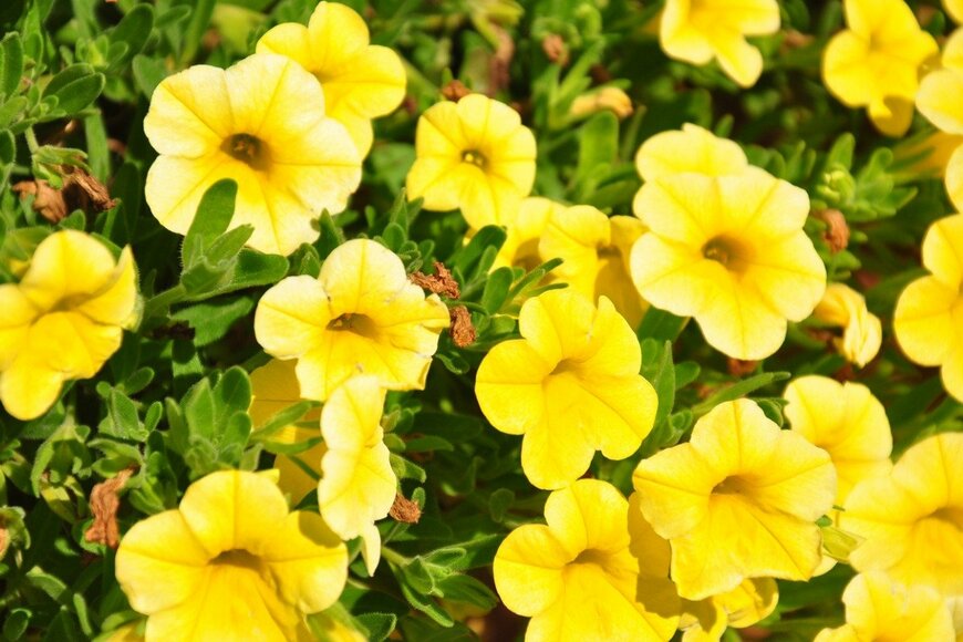 rbiedermann/istockphoto.com