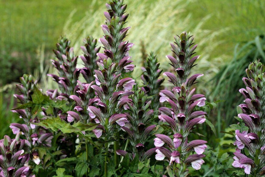 Anna Karklina/shutterstock.com