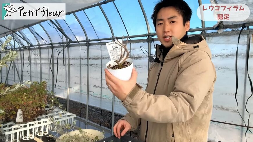 出所：@petit_fleur