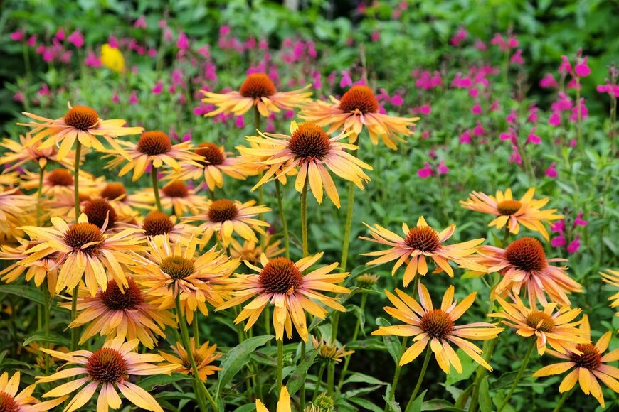 Alex Manders/shutterstock.com