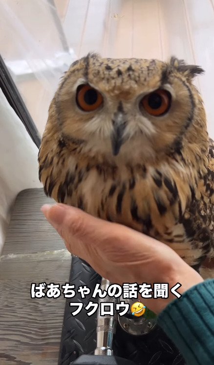 出所：@ba_chantolatte