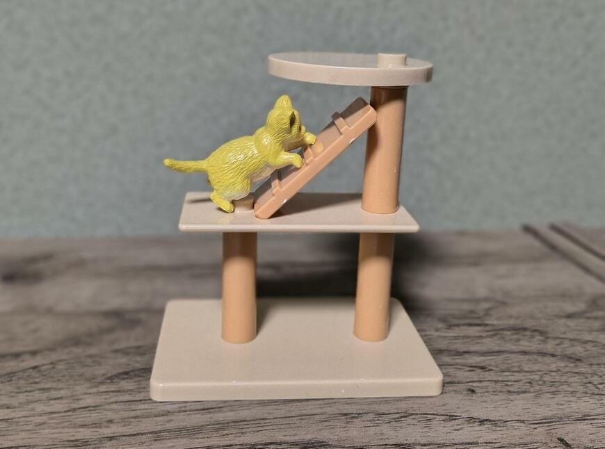 筆者撮影（ダイソー、にゃんことおうち）