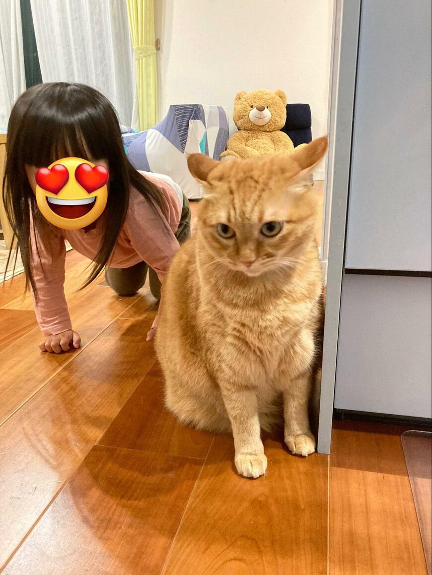 出所：@kagisuzu0531