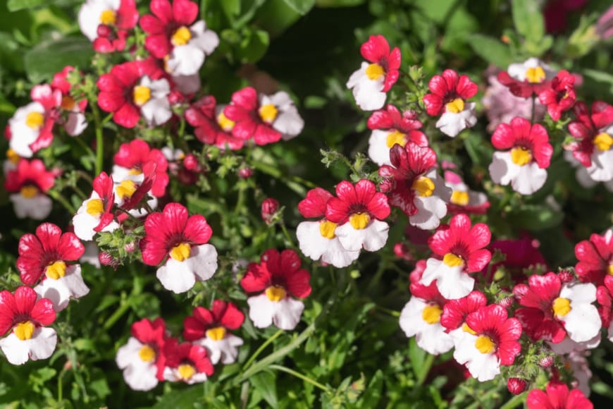 delobol/istockphoto.com