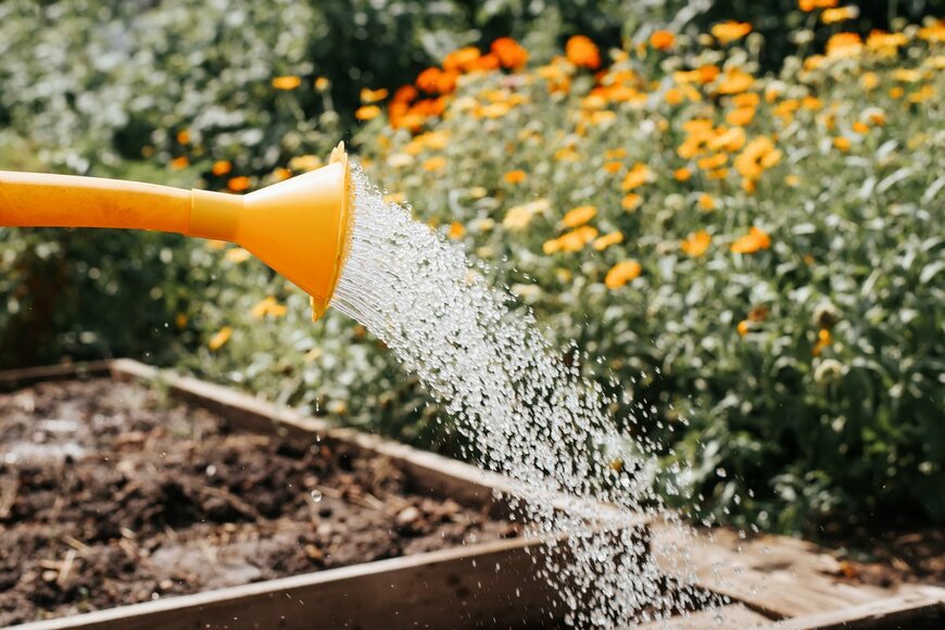 Sergio Photone/Shutterstock.com