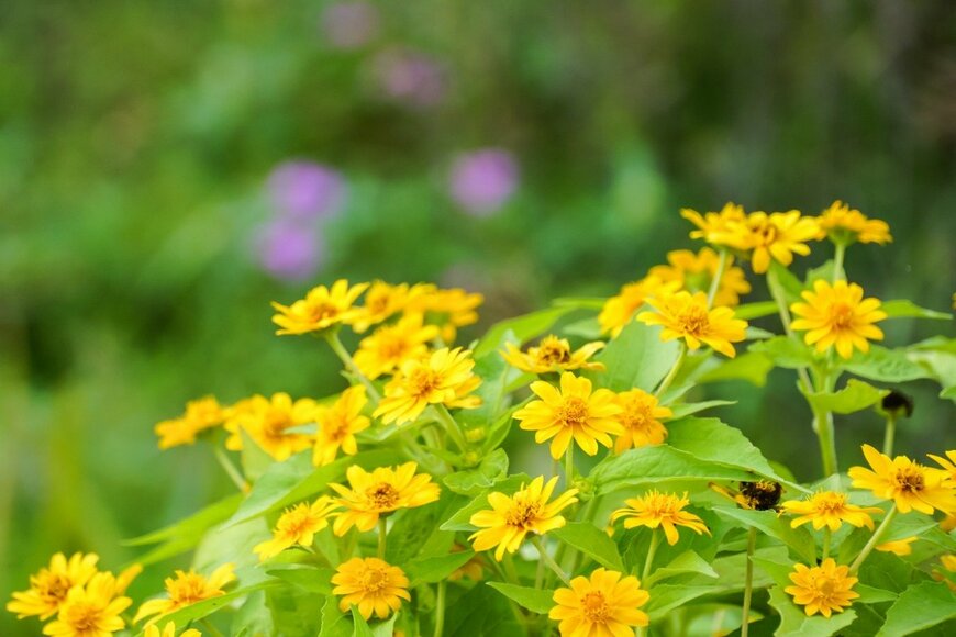 SandyHappy/istockphoto.com