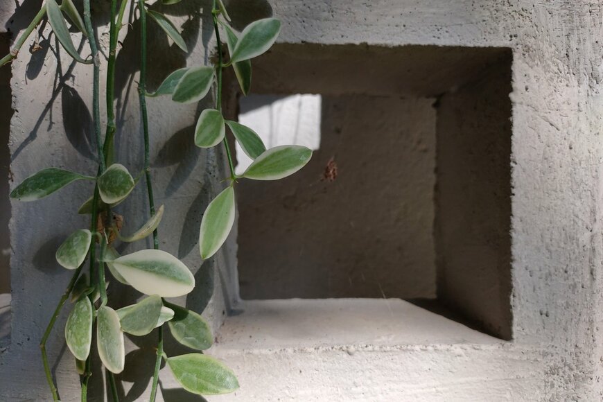 chadumjen/Shutterstock.com