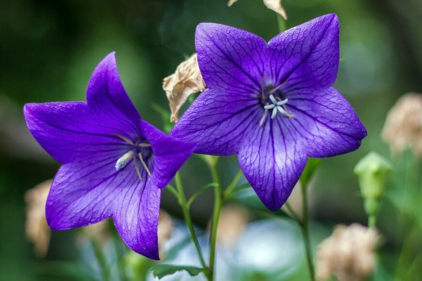 Arpan/istockphoto.com