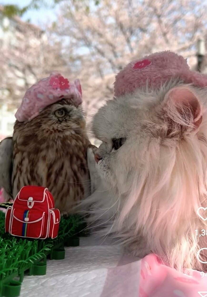 出所：@cr8673.hiro