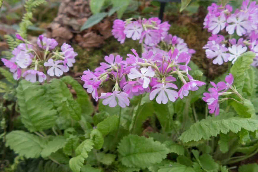 Peter Turner Photography/shutterstock.com