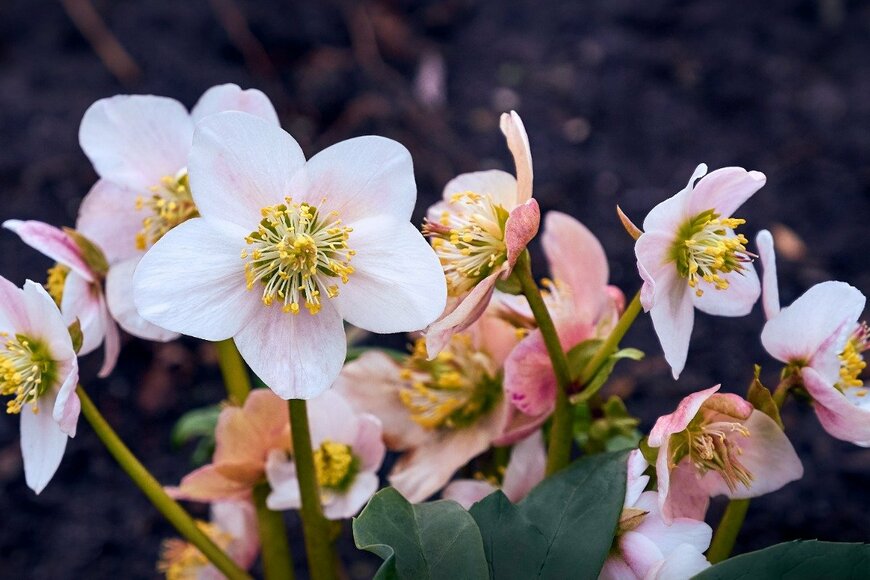 Oleg Charykov/istockphoto.com