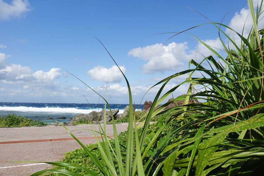 「GWのドライブ」に最適　沖縄名物が勢揃いする全国トップクラスの道の駅「許田」