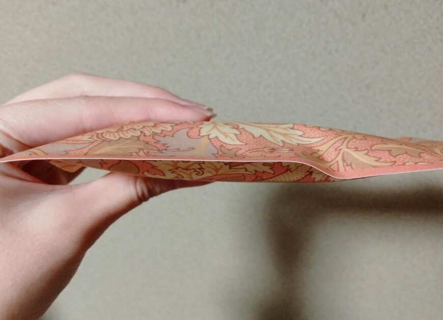 筆者撮影（セリア、ジップバッグ 5P ウィリアム・モリス）