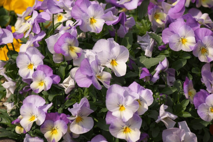 sundec88/istockphoto.com