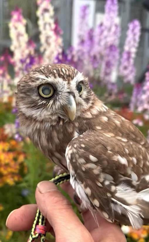 出所：@cr8673.hiro