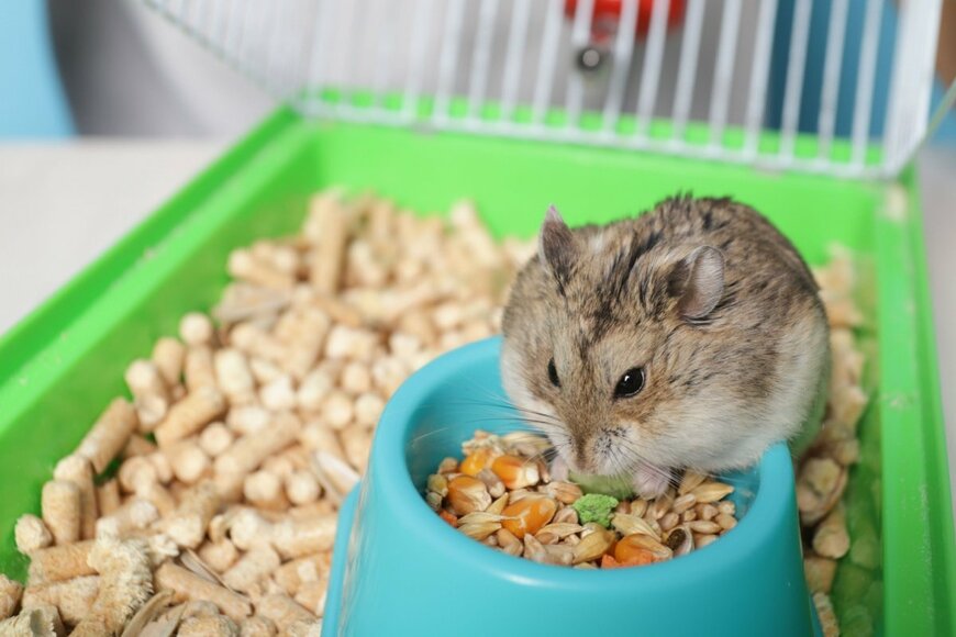 Yta23/shutterstock.com