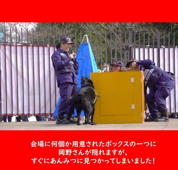 出所：@saitama_police_saiyo