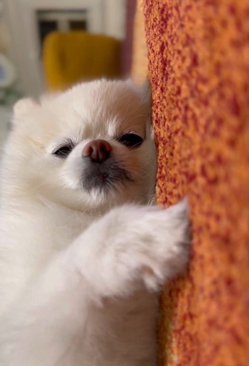 出所：@boku_ponchan