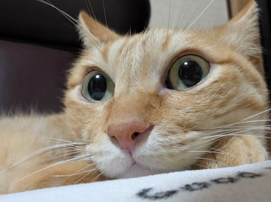 投稿の画像