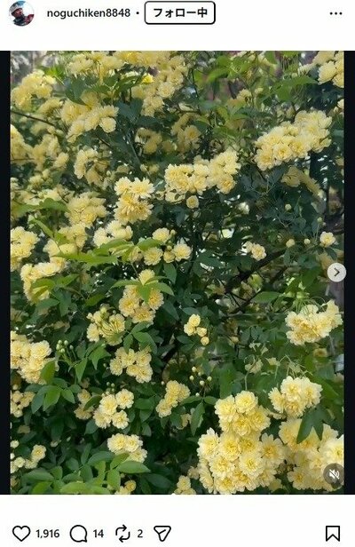 野口健のInstagram投稿