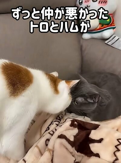 投稿の画像
