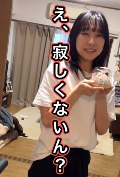 投稿動画のワンシーン