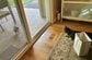 自宅でパーティー中「窓辺に現れたリス」　愛猫に見せた「オラついた姿」に笑ってしまう
