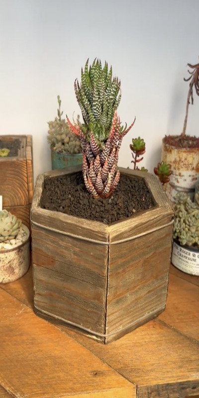 出所：＠rsbase321