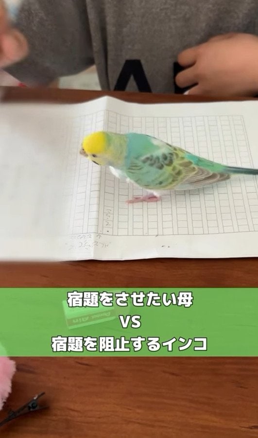 出所：@daiinkoteikoku_soraoto