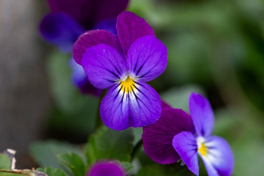 Anton Nikitinskiy/istockphoto.com