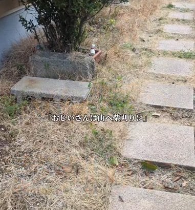 「綺麗に剥がされてる」雑草だらけの庭が…　プロの芝剥がしで「美しく整ったスペース」に大変身