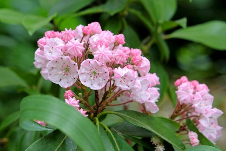 Alex Manders/shutterstock.com