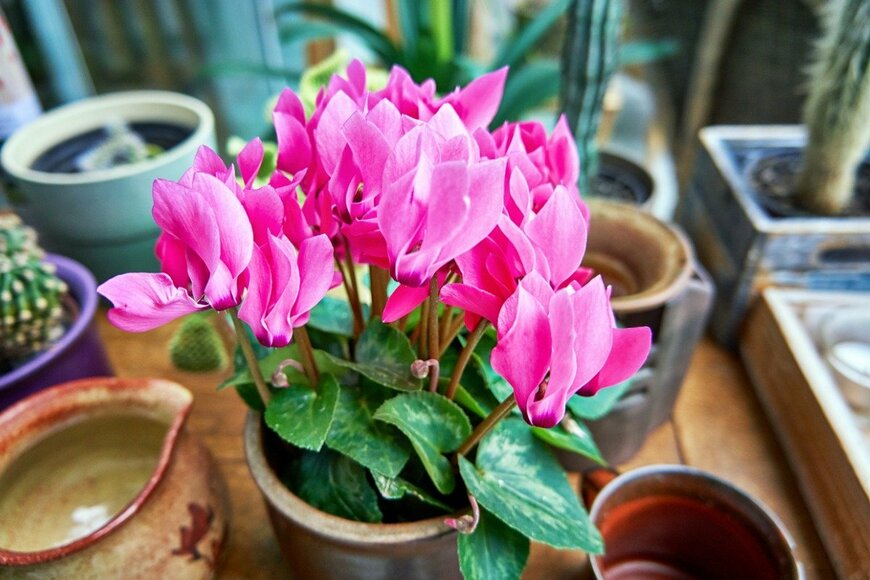 DR pics24/istockphoto.com