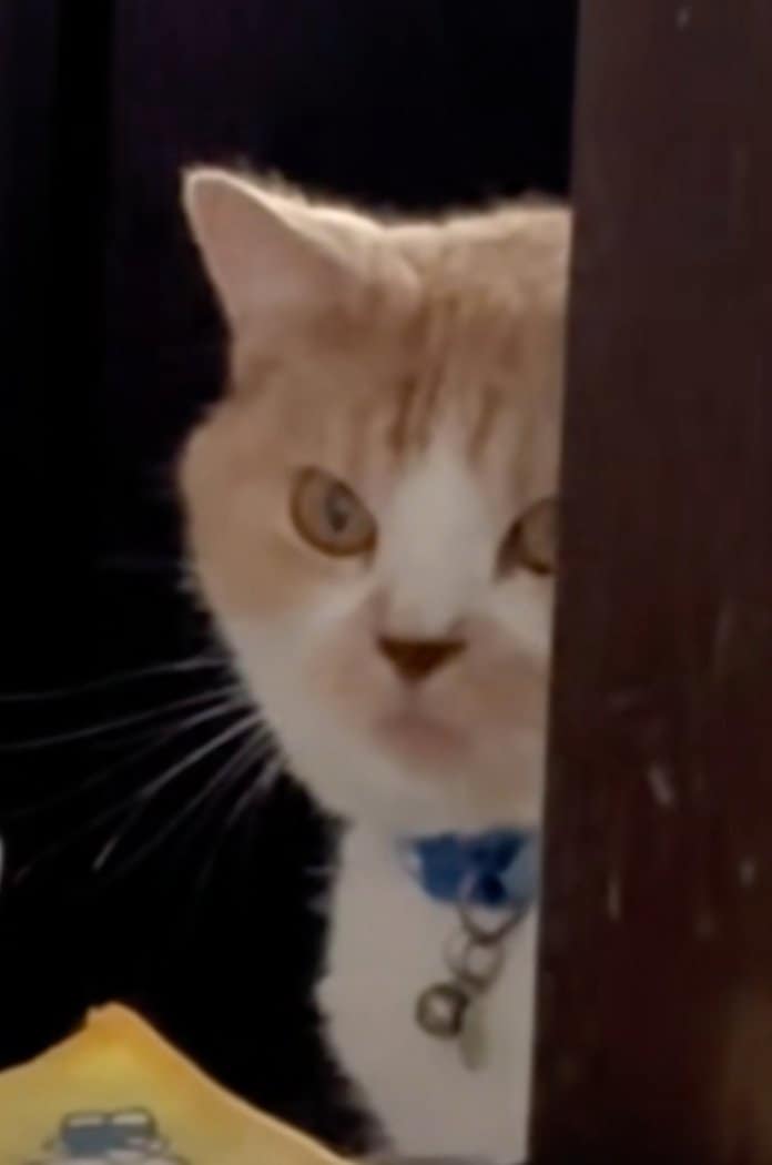 出所：@sorakai0905