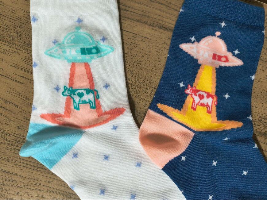 筆者撮影（セリア、婦人クルー丈サイドUFO柄）