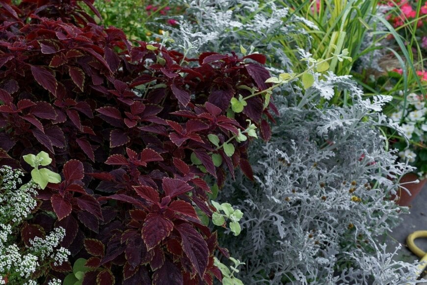 ArthurHidden/istockphoto.com