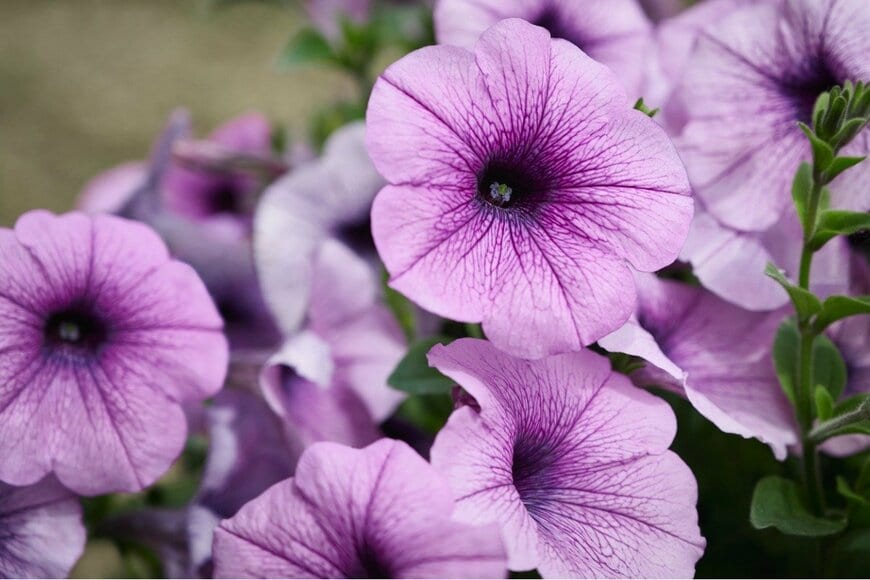 Oleg Charykov/istockphoto.com