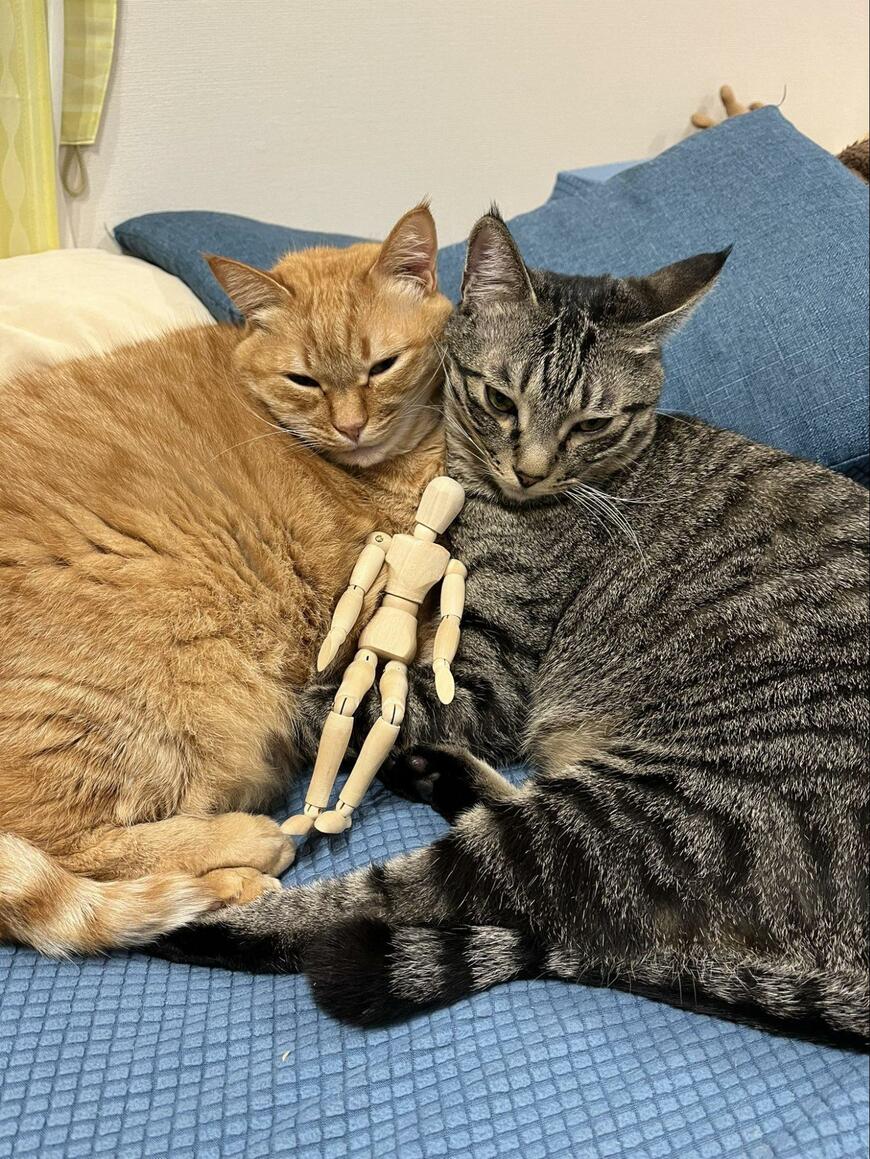 出所：@kagisuzu0531