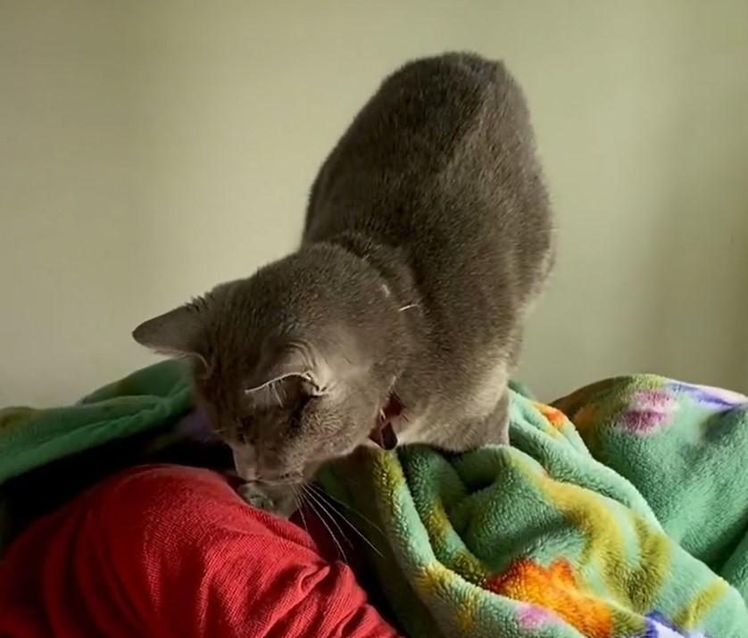 出所：@luna7taka9