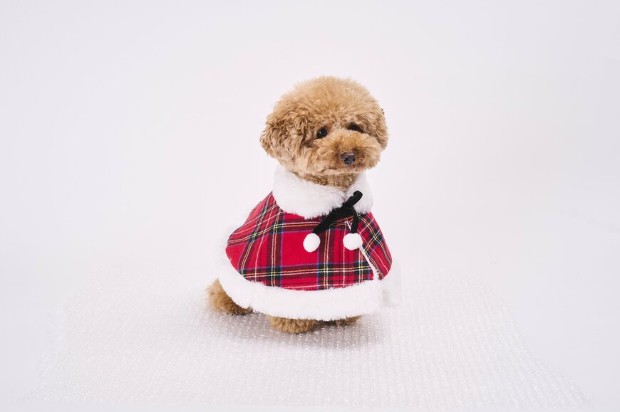 出所：イオン株式会社　「チェックマント」「ベロアリボンマント（ホワイト／レッド）」