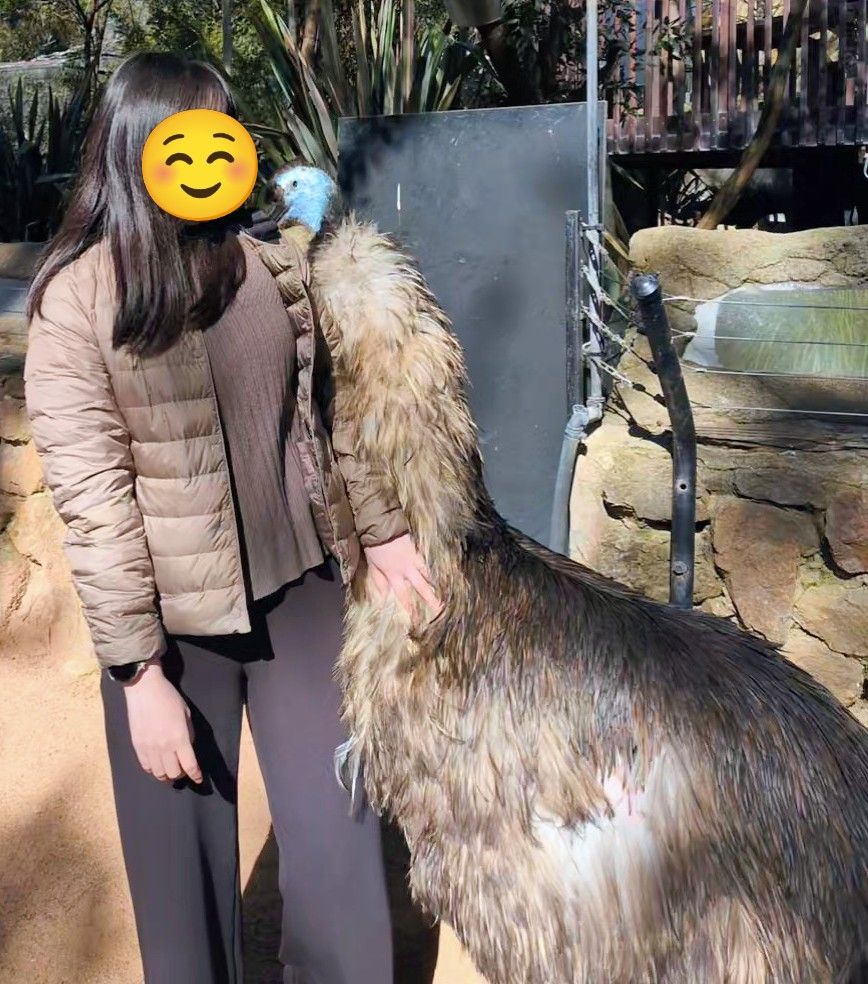 寄り添うエミュー