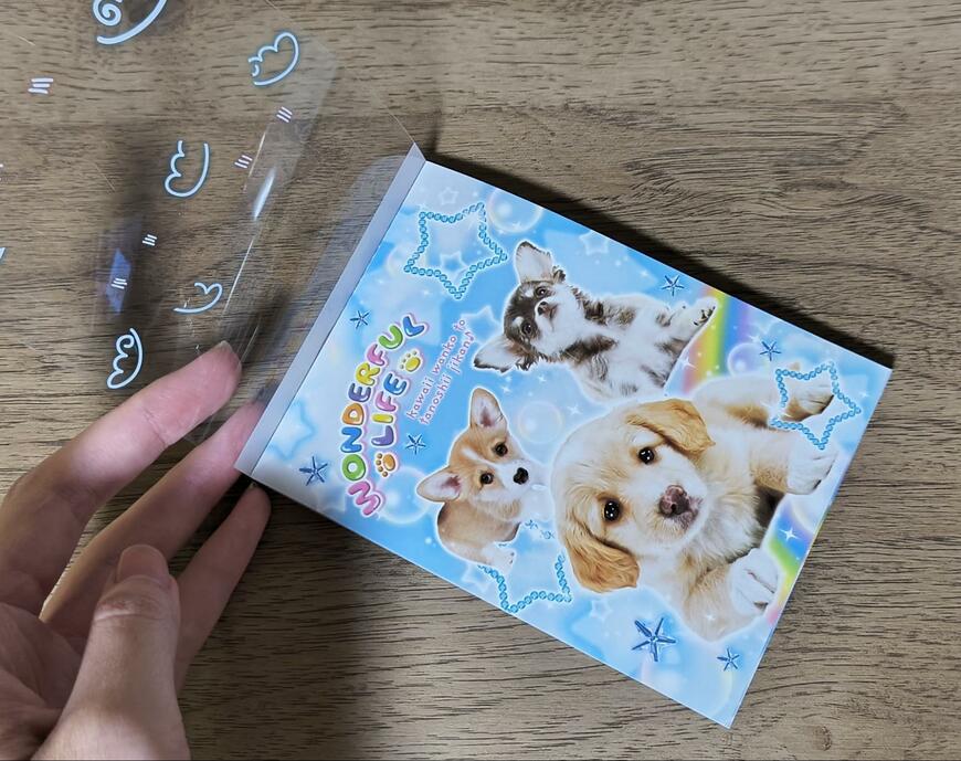 筆者撮影（セリア、メモ 50P 平成レトロ）