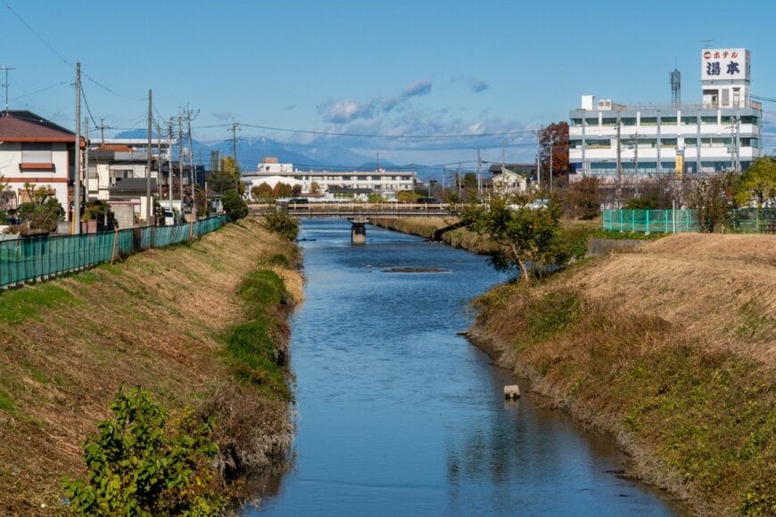 埼玉県の川を「流れていた物体」に思わず二度見　まさかの光景に「絶対放流しないでね」