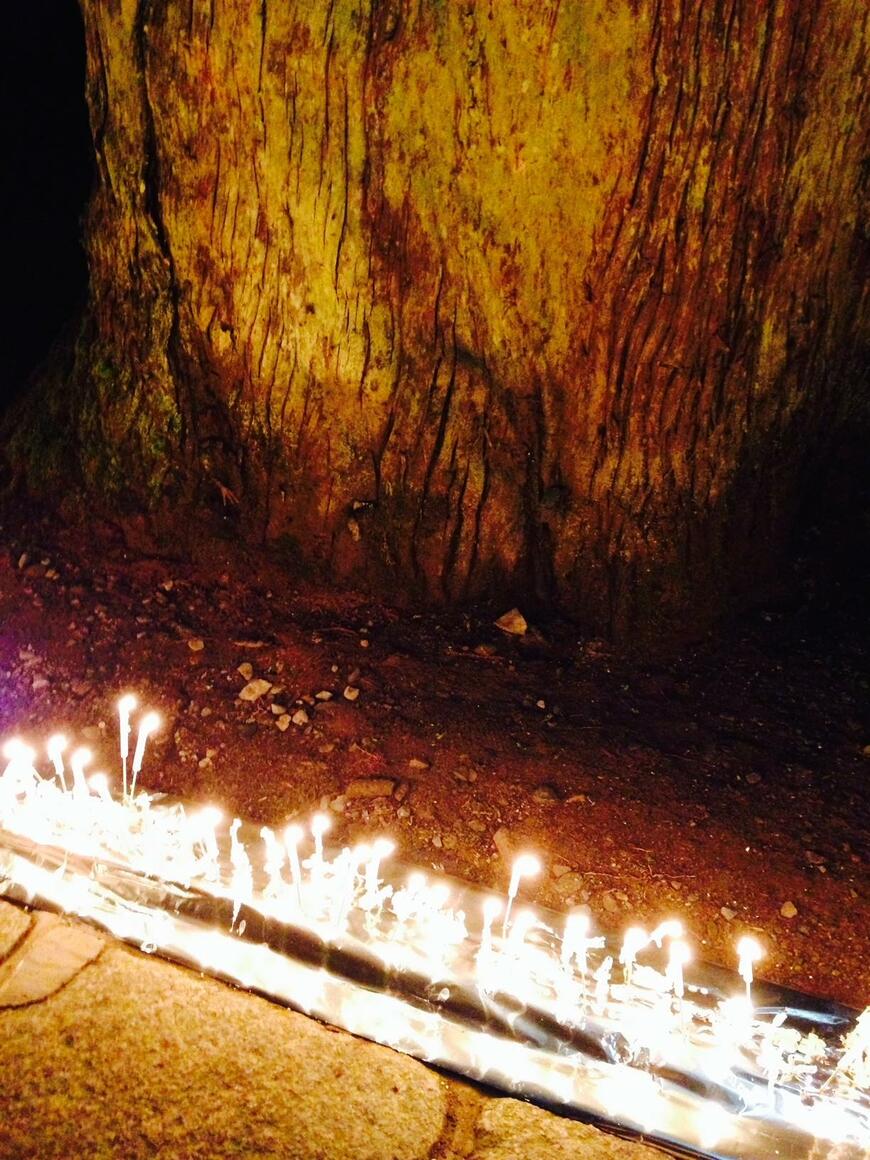 写真：筆者撮影