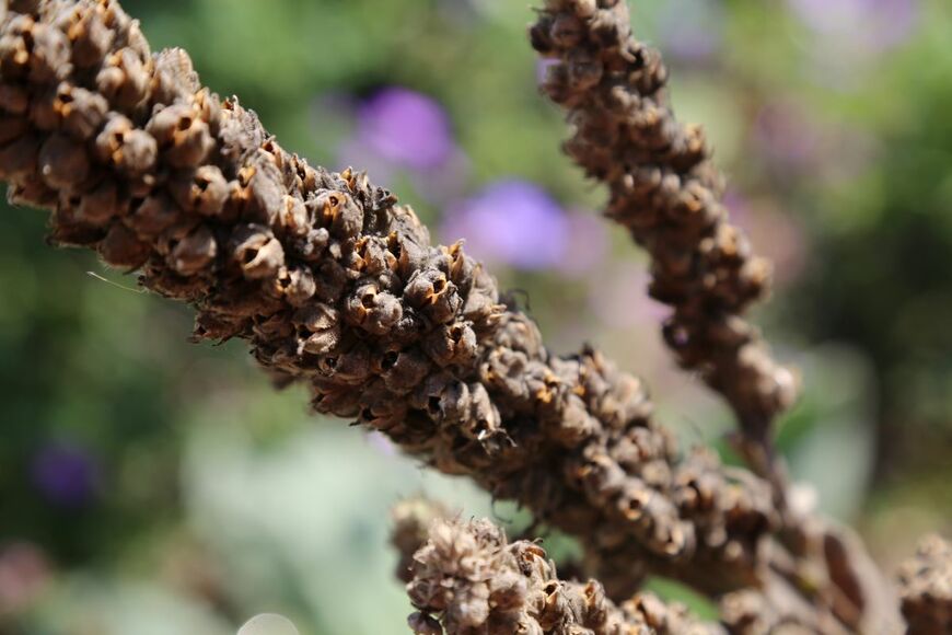 reflexion I nature/shutterstock.com