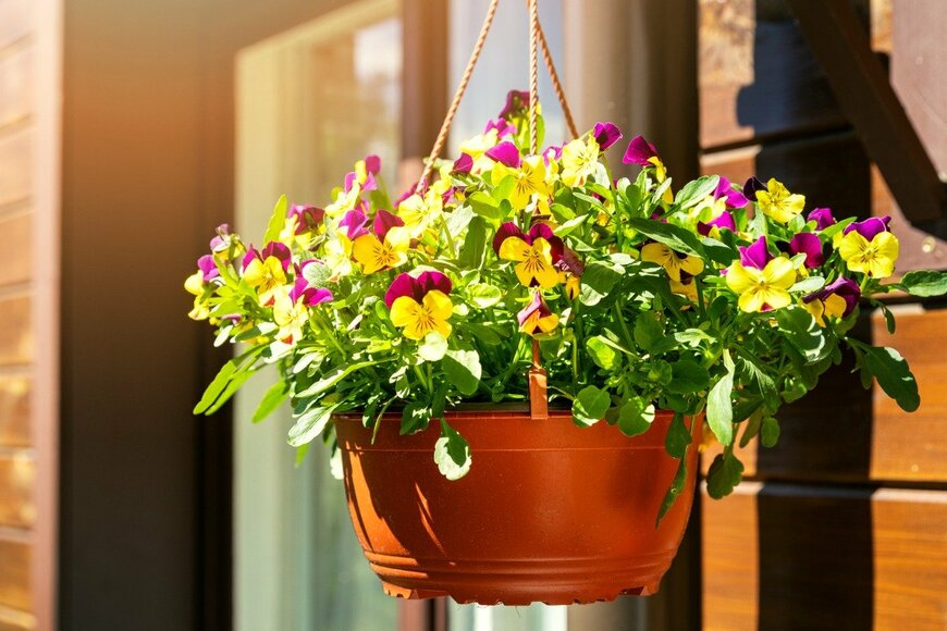 ronstik/istockphoto.com