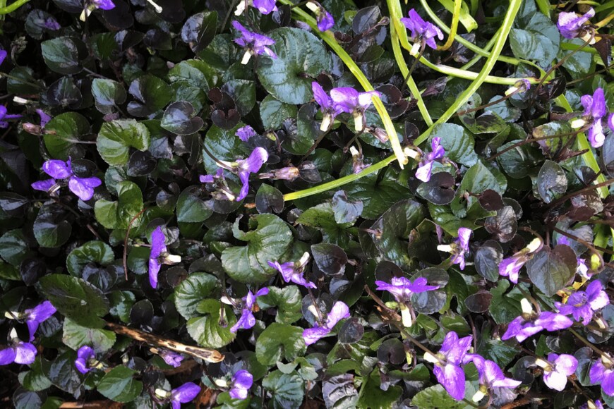 Imagarium/shutterstock.com